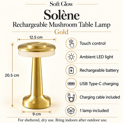 Solène Gold mushroom lamp dimensions, touch control, USB-C charging and included cable